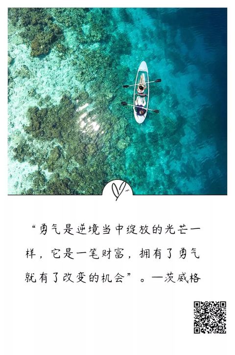 董卿:《朗读者》中这9个句子,点醒了我们一生