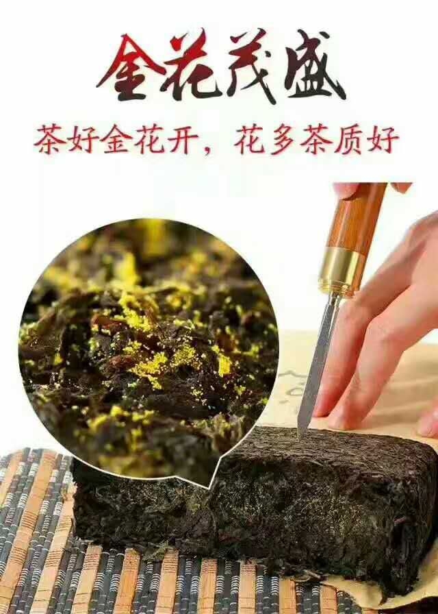 有意寻找个人创业的朋友请来了解一下华莱健黑茶,健康