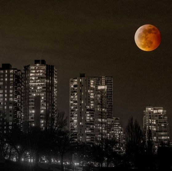 昨夜 全温哥华的人都疯了! 一场"超级狼血月"