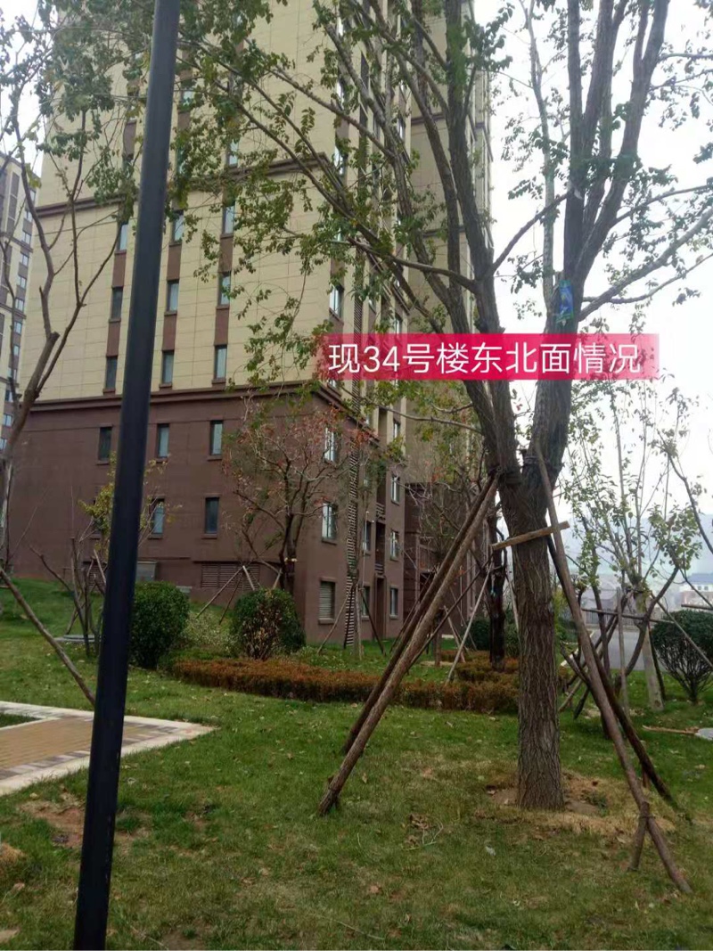 鼎秀家园小区现场进度阅览,北区30-35号楼周边情况以及车位分布图