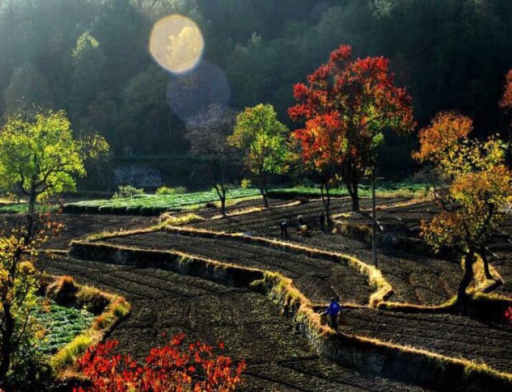 湖北英山,毕升故里.药材,茶叶,温泉天然氧吧!