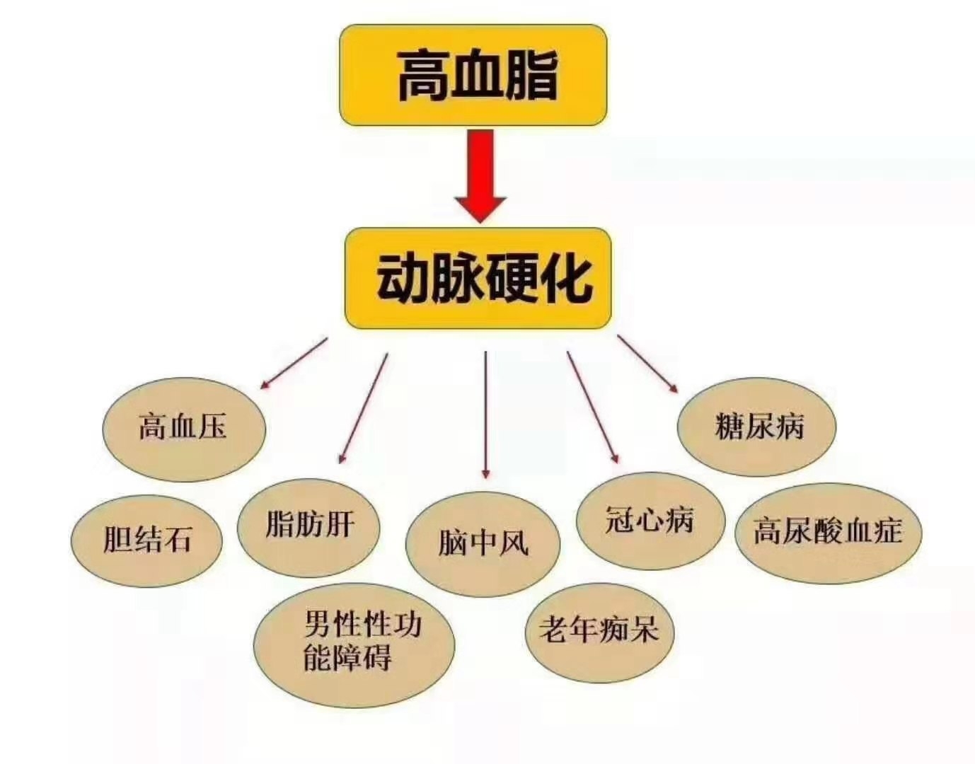 高血糖第一个症状就是 以前不爱喝水,突然变得爱喝水了 出现上面这些