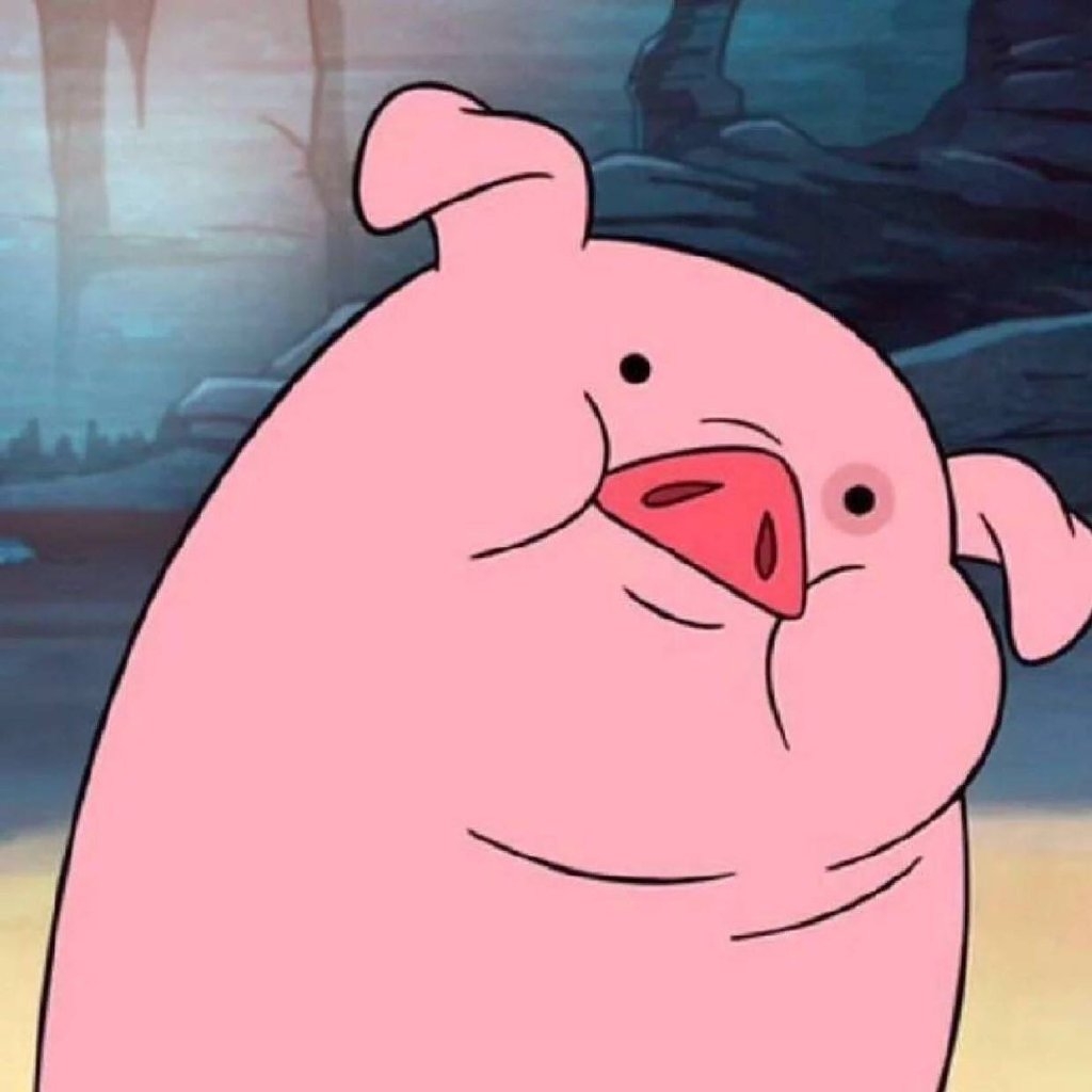 母猪产后如何护理