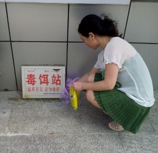我们是有害生物防制员! 开封永乐消杀公司