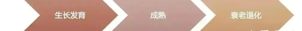图片关键词 图片关键词