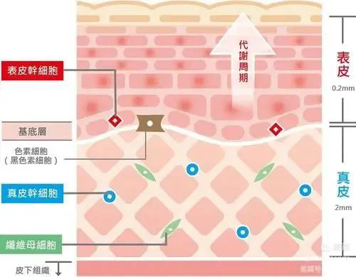 图片关键词